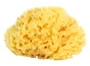 Губка для ванной OK Baby Honeycomb, размер 14 foto