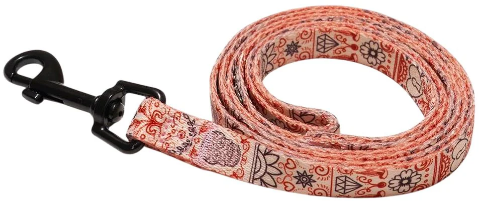 image for Lesa pentru caini Explorer Dog Heart, marimea S, 120 cm foto