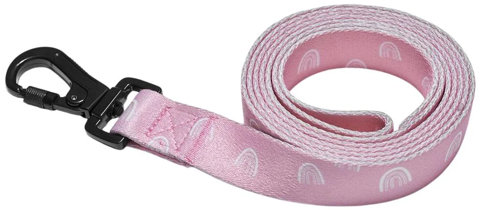 image for Lesa pentru caini Explorer Dog Rainbow, marimea L, 170 cm foto