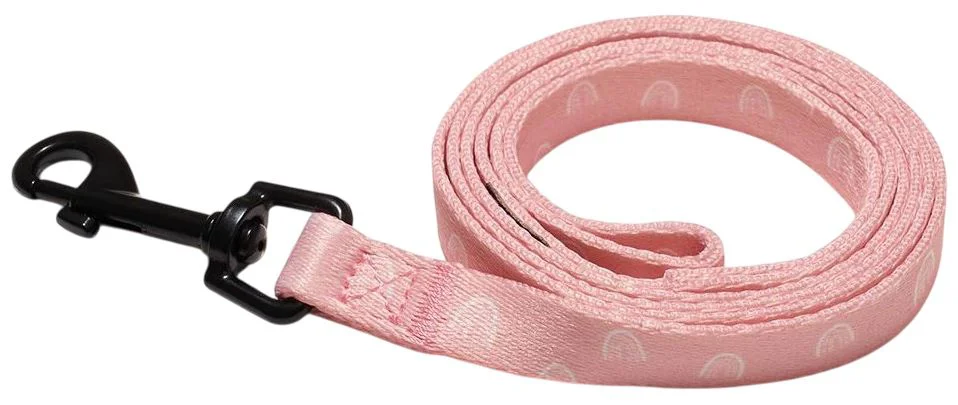 image for Lesa pentru caini Explorer Dog Rainbow, marimea S, 120 cm foto