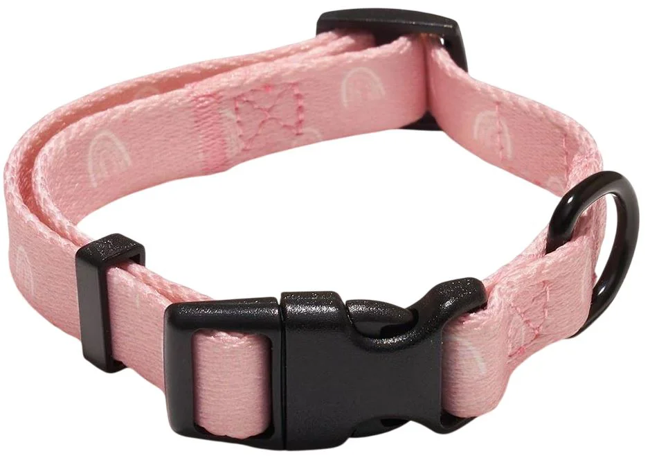 Zgarda pentru caini Explorer Dog Rainbow, marimea S, 24-36 cm foto