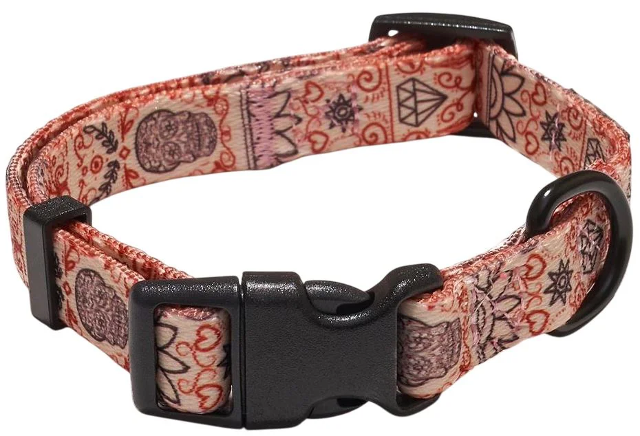 image for Zgarda pentru caini Explorer Dog Heart, marimea S, 24-36 cm foto
