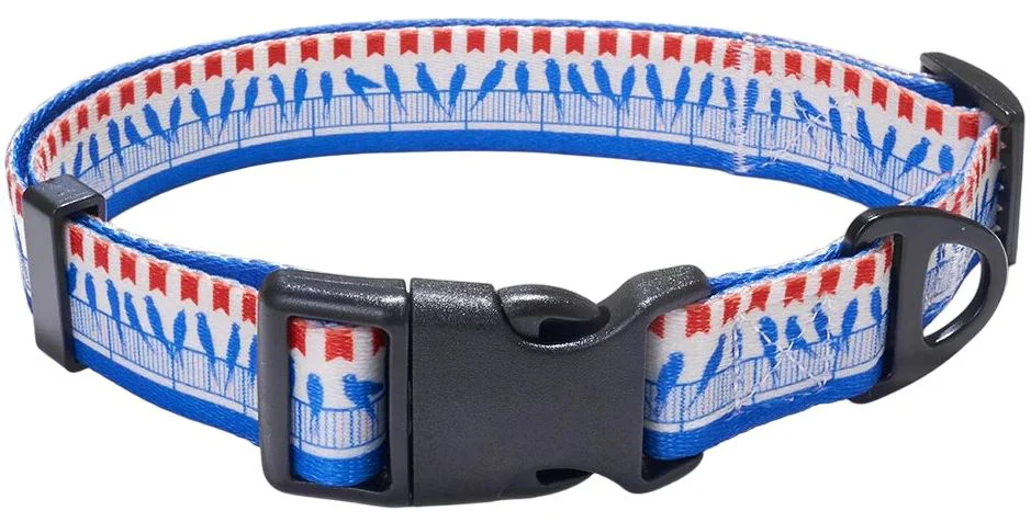 image for Zgarda pentru caini Explorer Dog Birds, marimea L, 41-66 cm foto