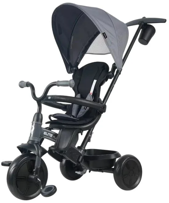 Трёхколёсный велосипед Qplay Elite Platinum Grey foto
