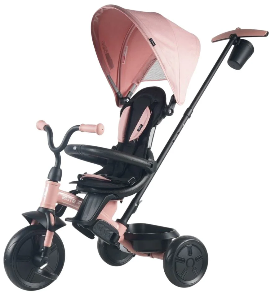 Трёхколёсный велосипед Qplay Elite Platinum Pink foto