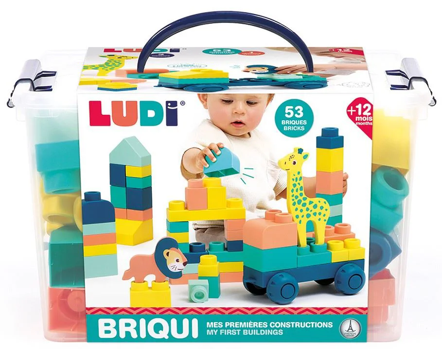 image for Игровой набор Ludi Briqui foto