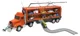 Camion transportor DRIVEN Pocket Transport