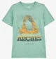 Carter's Tricou Green Aches foto