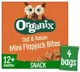 Cubulete Bio Organix din ovaz integral si stafide Flapjack (12+ luni), 80 g foto