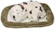 Jucarie interactiva Perfect Petzzz "Dalmatian'' foto