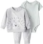 Carter's Set 3 piese Gray Lion - cardigan, pantaloni si body foto