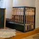 Детская кроватка Eucalyptus Mia Elite Premium поперечный маятник, Графит+Натуральный foto