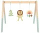 Дуга с подвесными игрушками Tooky Toy Baby Gym foto