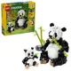 LEGO Creator - Animale salbatice: Familia ursilor panda, 626 el. foto