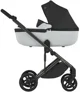 Carucior 2 in 1 Anex Eli Anodizing Gray foto