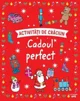 Activitati de Craciun. Cadoul perfect foto