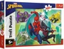 Puzzle Trefl Spider mask Disney, 100 el. foto