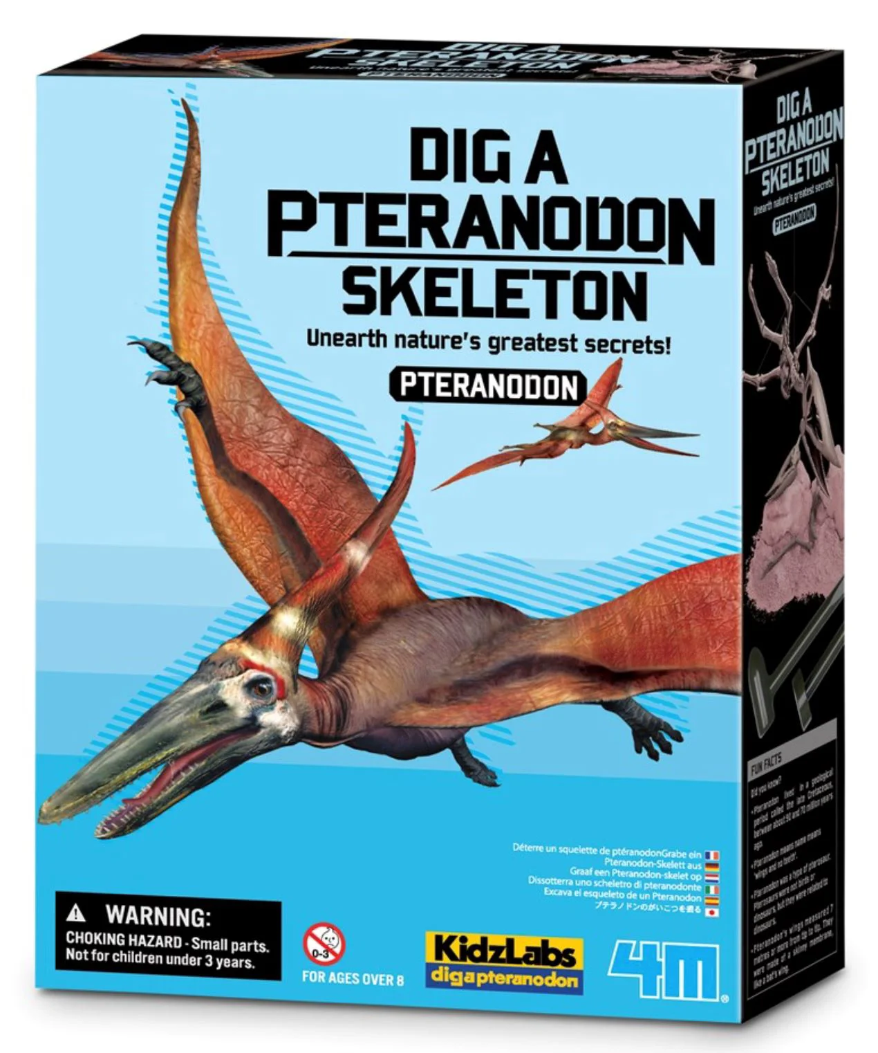 image for Игровой набор 4M Раскопки динозавров, Pteranodon foto