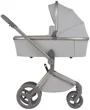 Carucior 2 in 1 Anex Flo Frossy foto