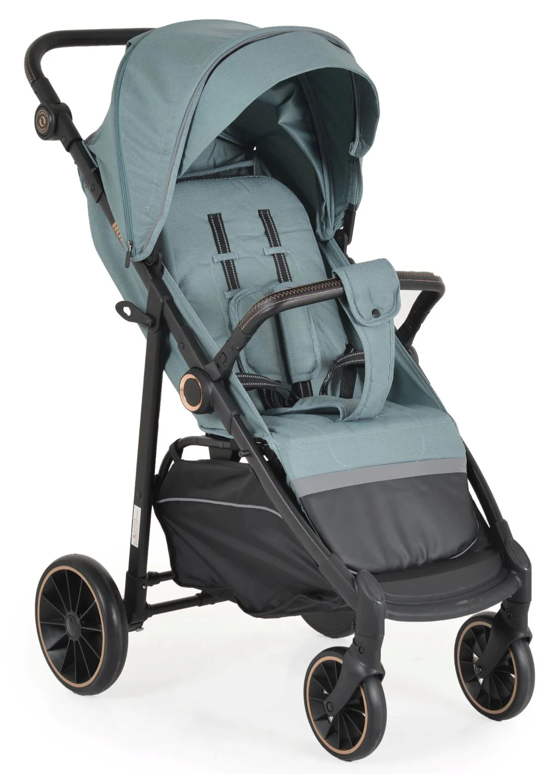 image for Прогулочная коляска Moni Buggy Зеленый foto