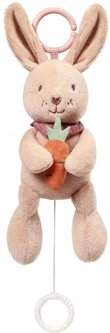 image for Jucarie de plus muzicala BabyOno Rabbit Karo foto