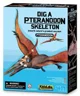 Игровой набор 4M Раскопки динозавров, Pteranodon foto