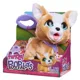 Jucarie interactiva de plus FurReal Catelus Corgi cu lesa, 23 cm foto