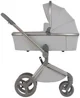 Carucior 2 in 1 Anex Flo Frossy foto