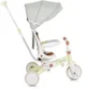 Tricicleta 3 in 1 pentru copii Moni Compacto Verde foto