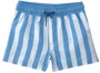 Carter's Pantaloni scurti de plaja Blue Trunks foto