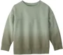 Carter's Hanorac din bumbac Ombre Terry Green foto
