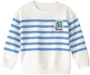Carter's Hanorac Pullover Sardine Crew foto