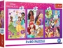 Puzzle Trefl Princesses Friends, 3x80 el. foto