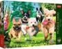 Puzzle Trefl Premium Plus Tea Time: Here Comes Trouble, 1000 el. foto