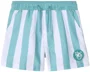 Orchestra Pantaloni scurti de plaja Stripe Trunks foto
