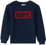 Orchestra Hanorac Marvel foto