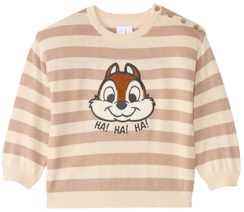 image for Orchestra Pulover subtire Chip 'n' Dale foto