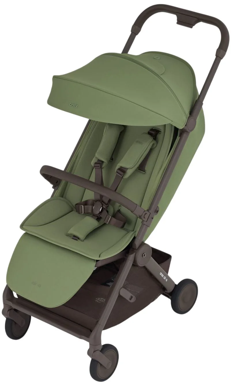 image for Прогулочная коляска Anex Air-Q Pistache foto
