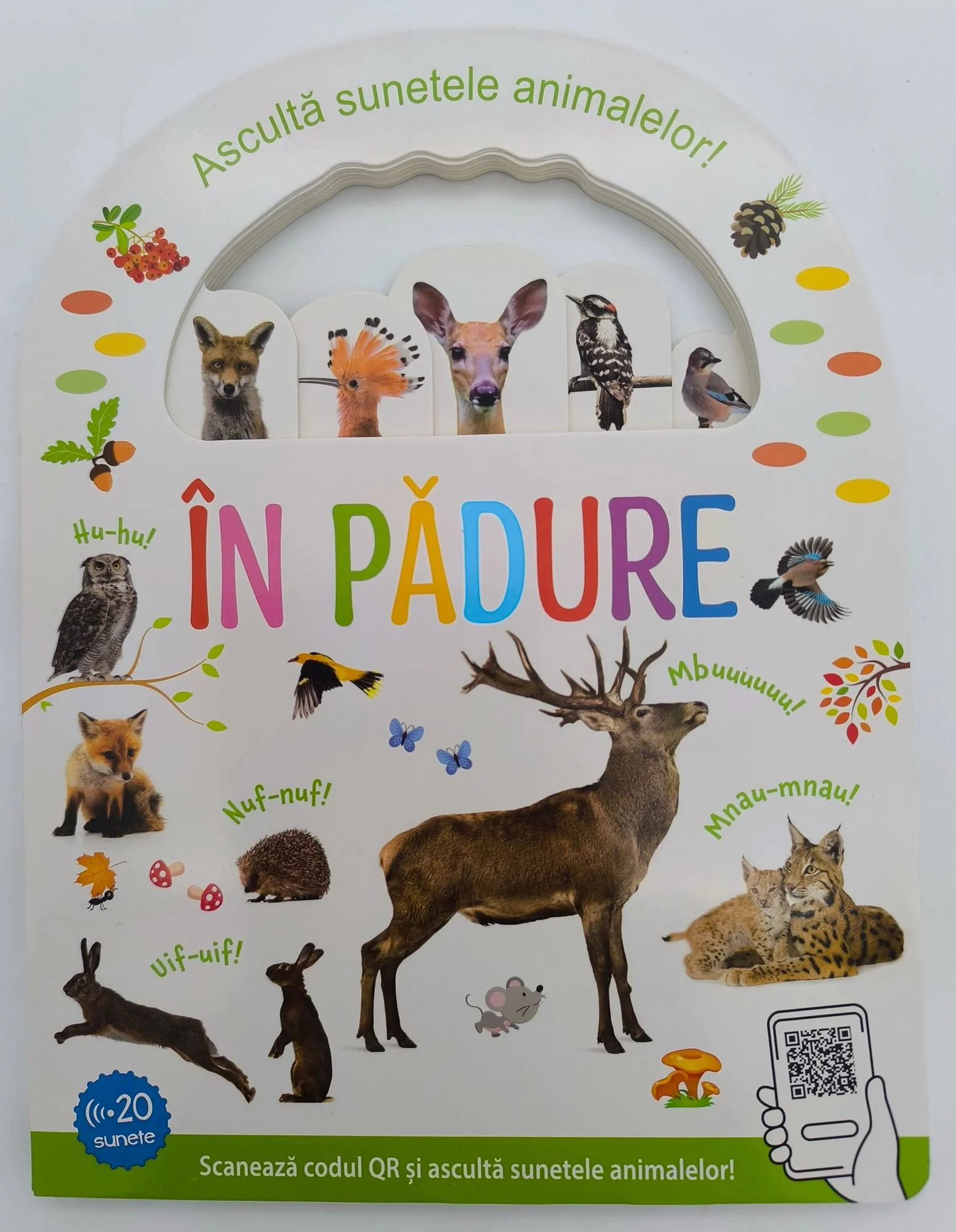 image for In padure - Asculta sunetele animalelor foto