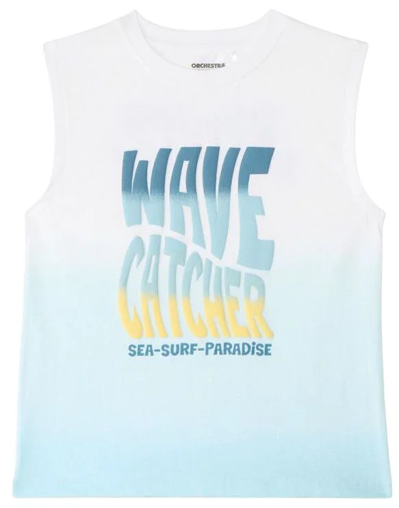 image for Orchestra Maiou Surf Club foto