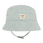 Orchestra Boneta Tiger foto