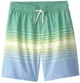 Carter's Pantaloni scurti de plaja Gardner Stripe Trunks foto