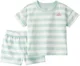 Carter's Комплект 2 в 1 Mint Striped - футболка и шорты foto