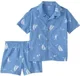 Carter's Комплект 2 в 1 Blue Sailboat - рубашка и шорты foto
