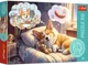 Puzzle Trefl Corgi visator, 60 el. foto