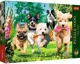 Puzzle Trefl Premium Plus Tea Time: Here Comes Trouble, 1000 el. foto