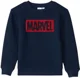 Orchestra Hanorac Marvel foto