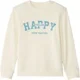 Orchestra Hanorac Happy Feeling foto