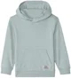 Orchestra Hoodie Green foto