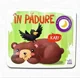 Carte cu pagini impaturite - In padure foto